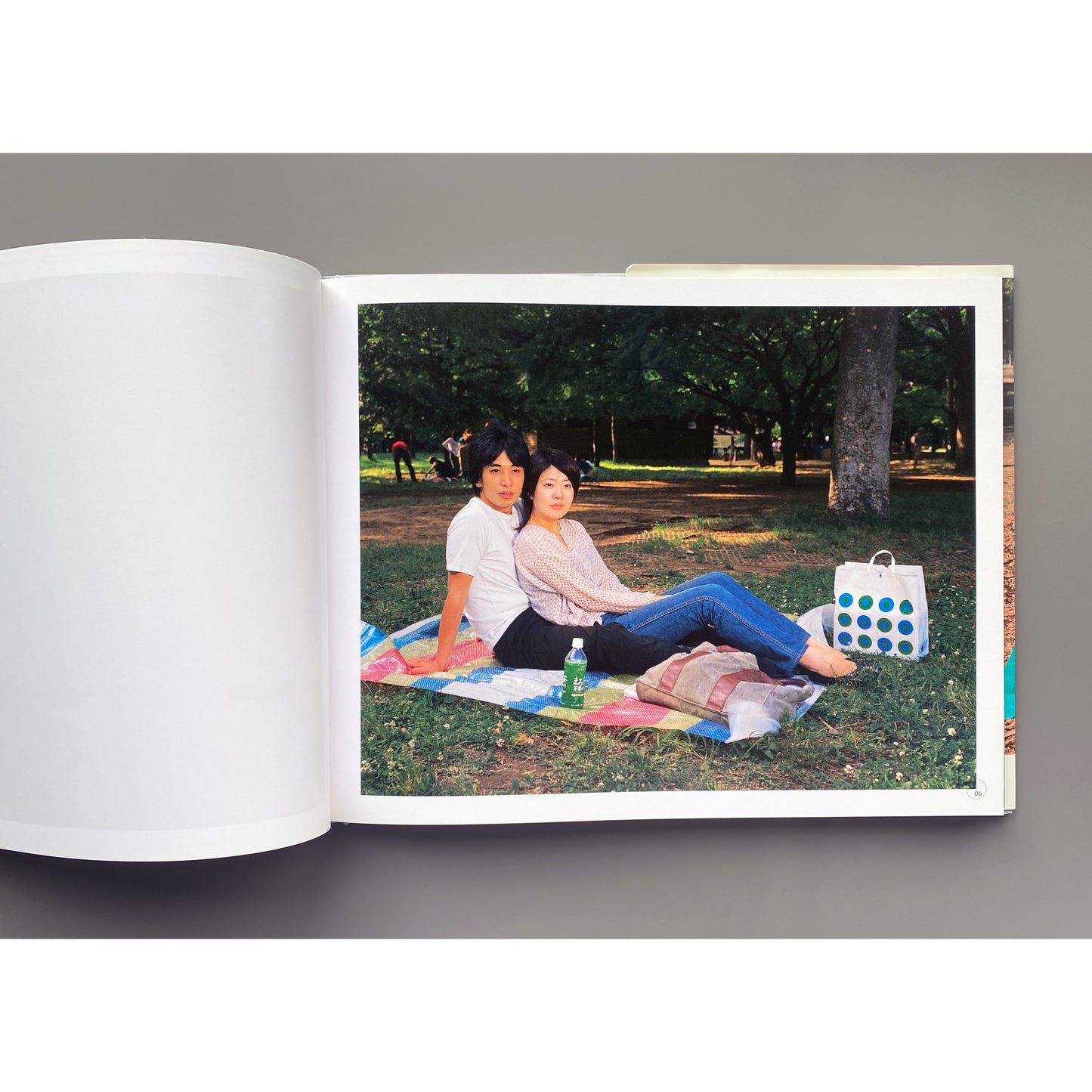 Picnic - Masato Seto