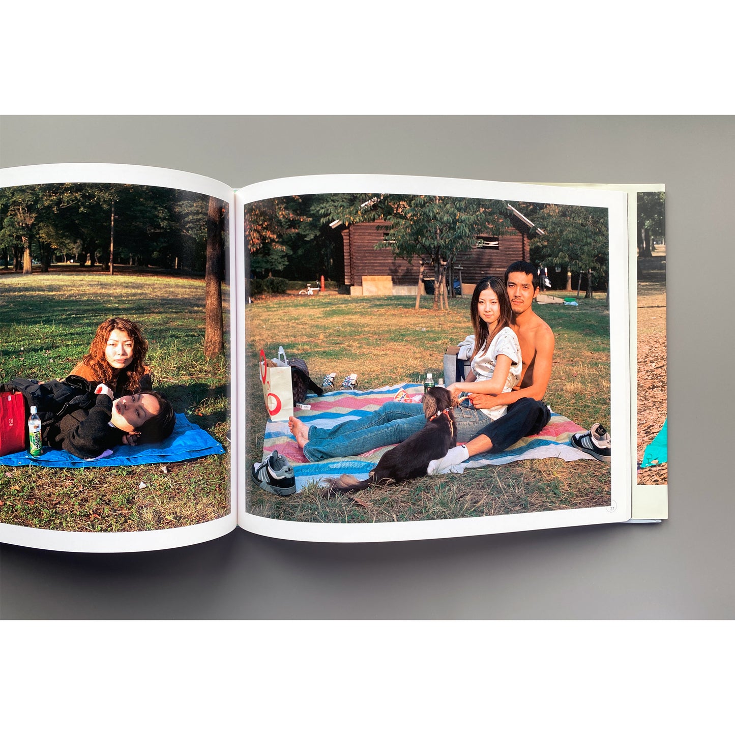 Picnic - Masato Seto