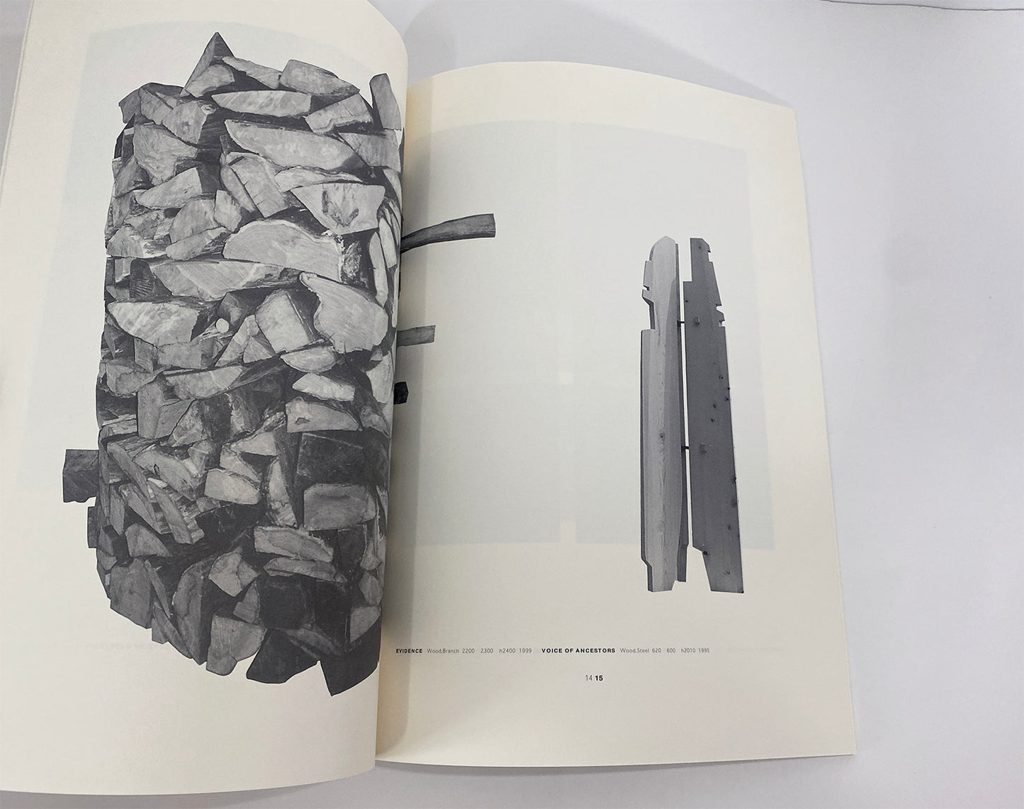 Choi Suk-Ho Catalogue