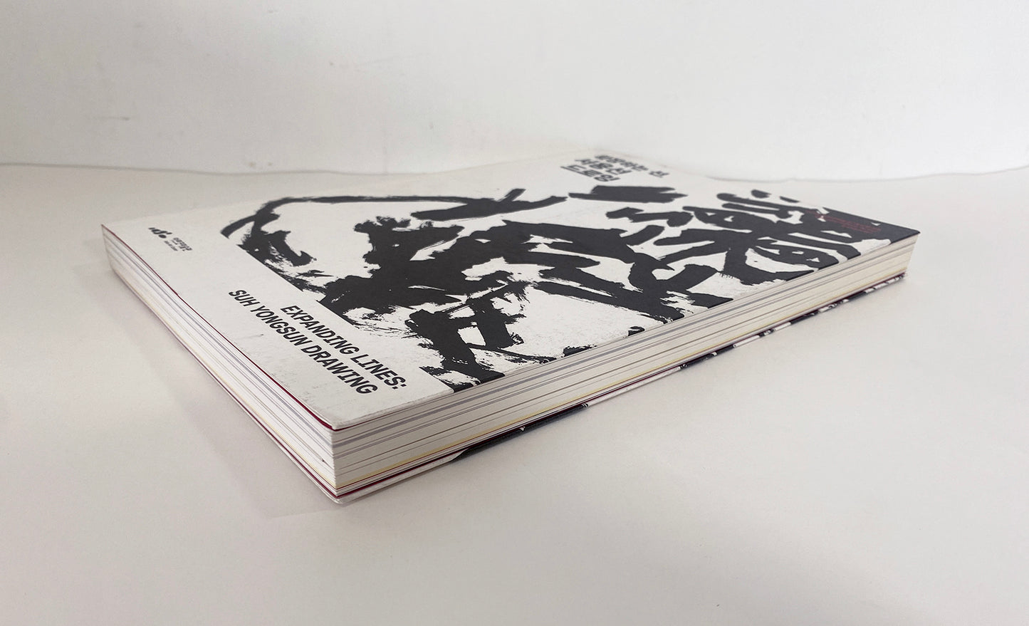 SUH YONGSUN DRAWING | EXPANDING LINES: SUH YONGSUN DRAWING |