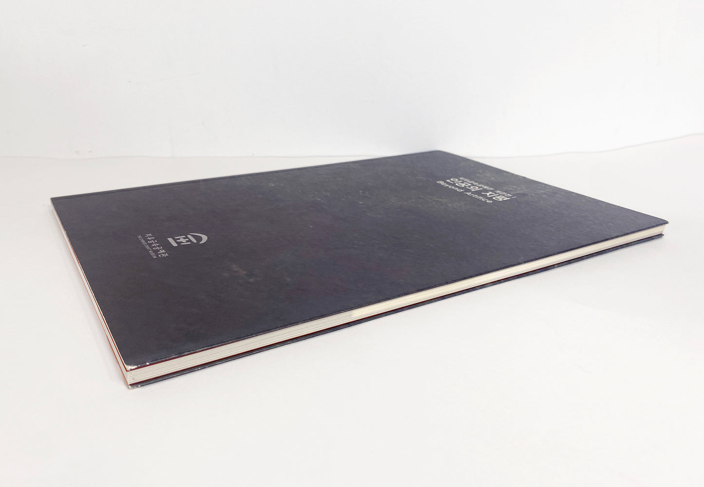 Beyond Artifice Exhibition Catalog