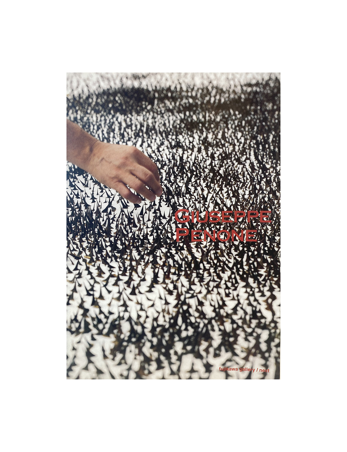 GIUSEPPE PENONE - Giuseppe Penone Exhibition Catalogue Fujikawa Gallery