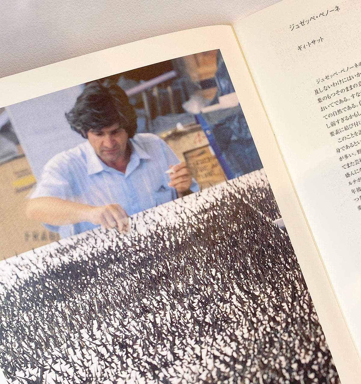 GIUSEPPE PENONE - Giuseppe Penone Exhibition Catalogue Fujikawa Gallery