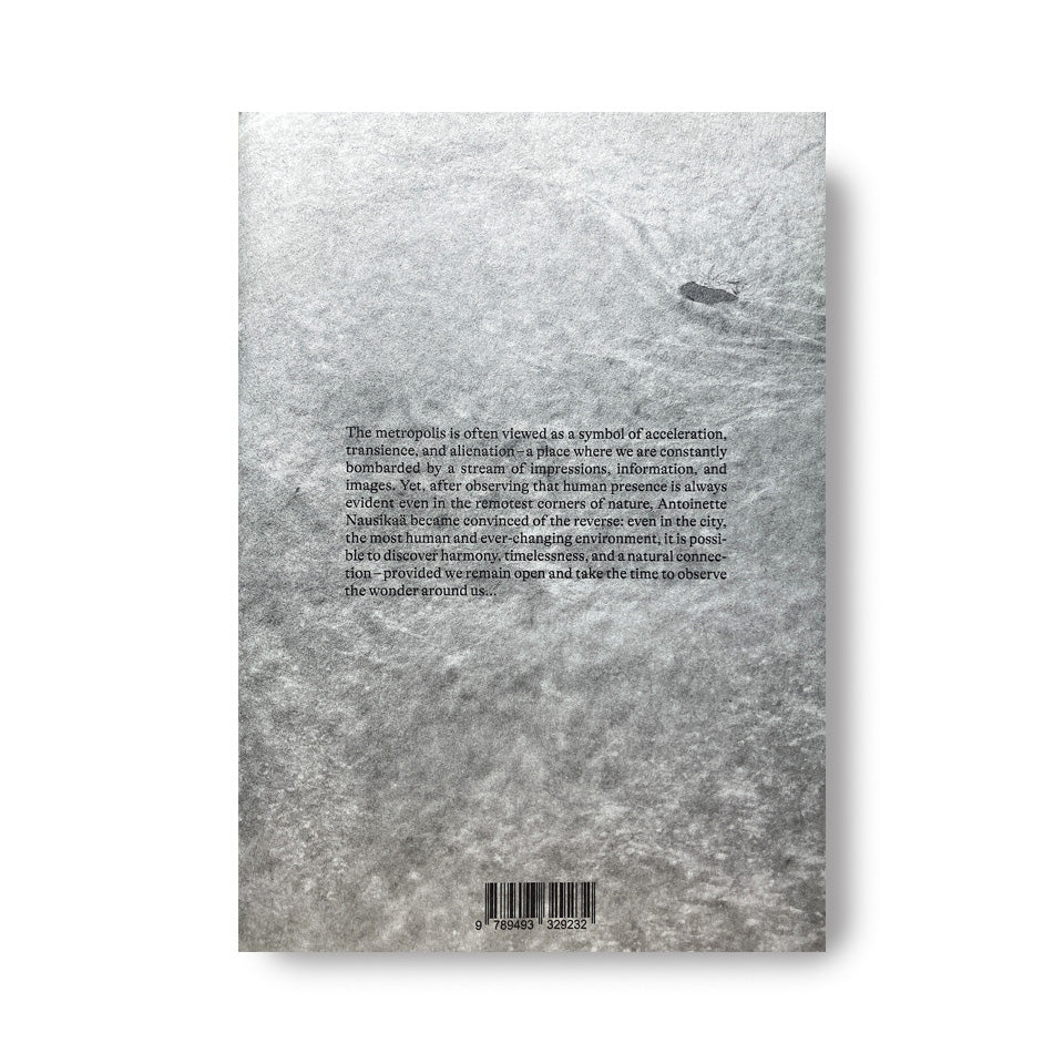 《Bird, Plane, Butterfly.》Antoinette Nausikaä