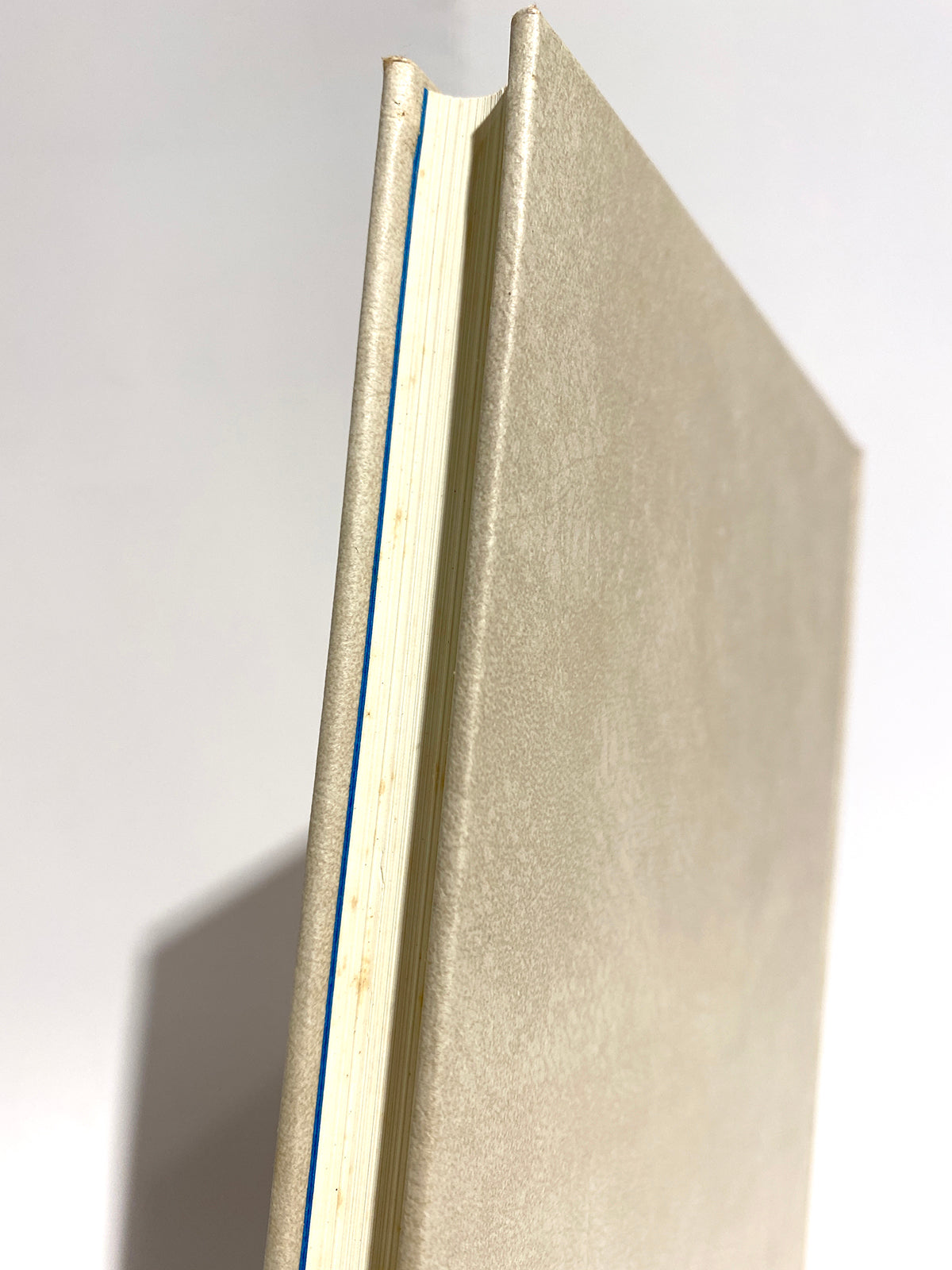 "The Theory of Beauty" by Theodor W. Adorno *Set of 2 books