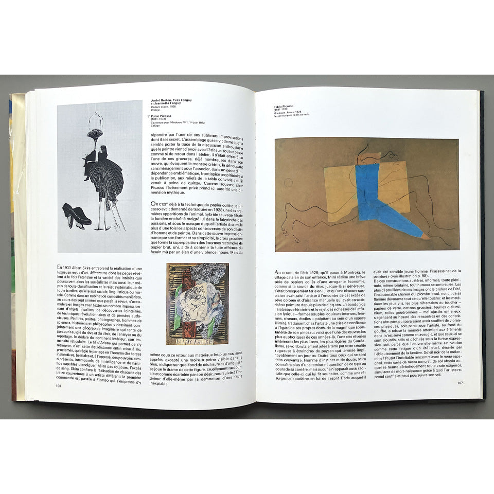 Histoire d'un Art LE COLLAGE ; papiers collés, papiers déchirés, papiers découpés