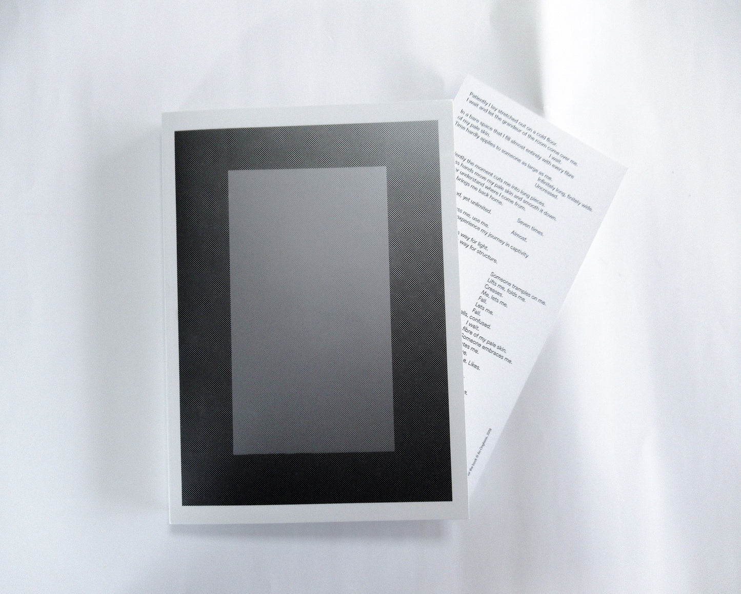 《Performance for the Book》An Onghena |