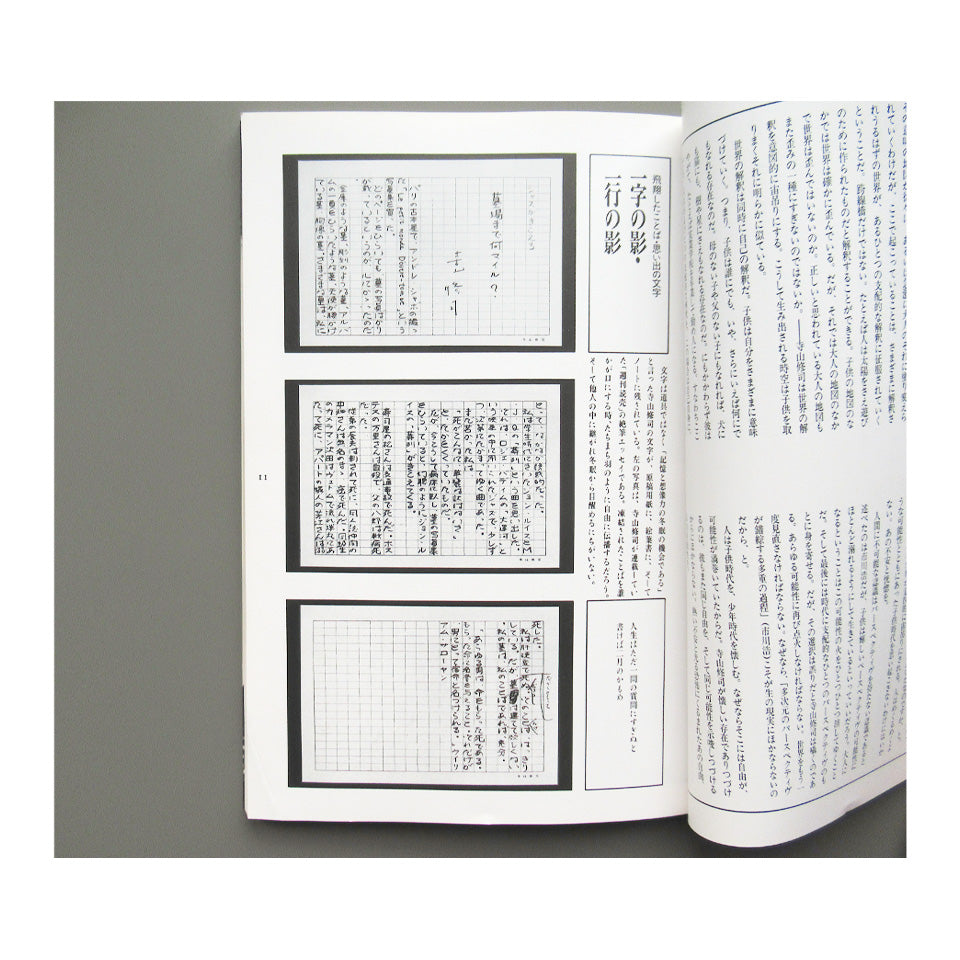 寺山修司全仕事展 テラヤマワールド Terayama World