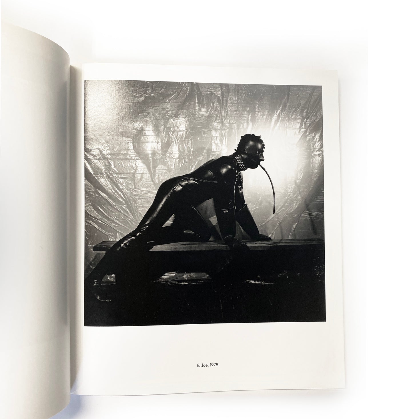 TEN BY TEN Robert Mapplethorpe