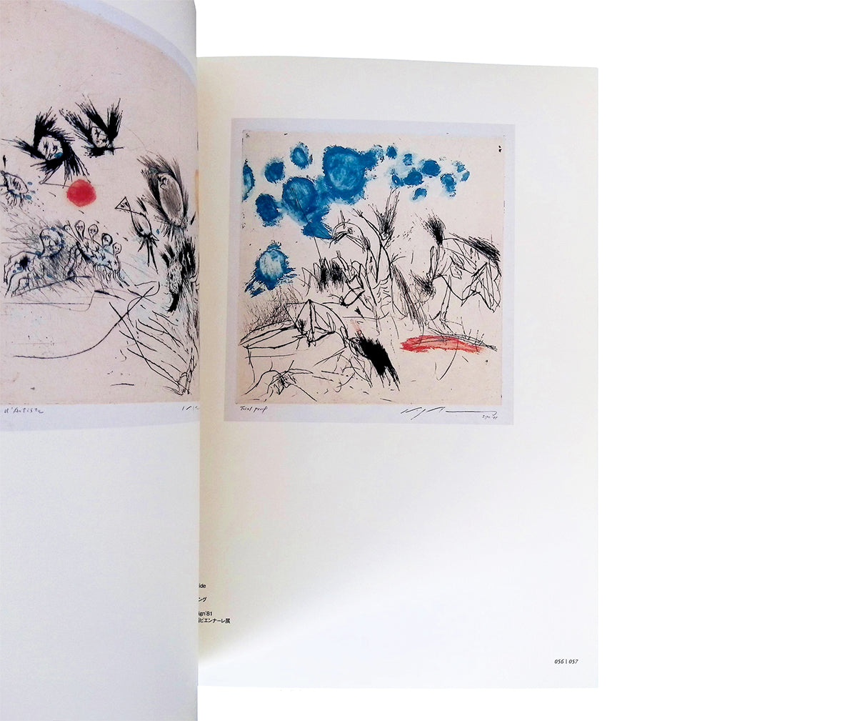 池田満寿夫の版画 京都国立近代美術館・所蔵作品目録Ⅴ 図録