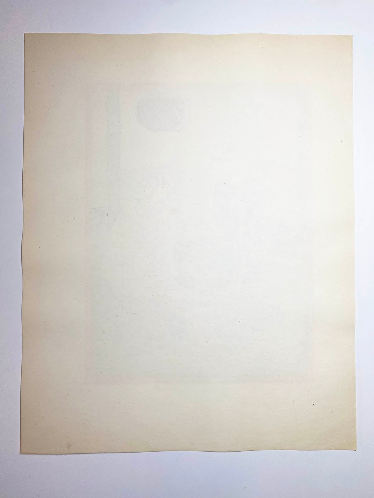 藤田嗣治 リトグラフ《中毒について》 / 挿絵本 16枚セット