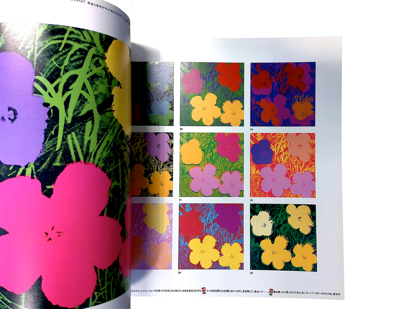 Pop Art Myth: Andy Warhol Exhibition Catalogue