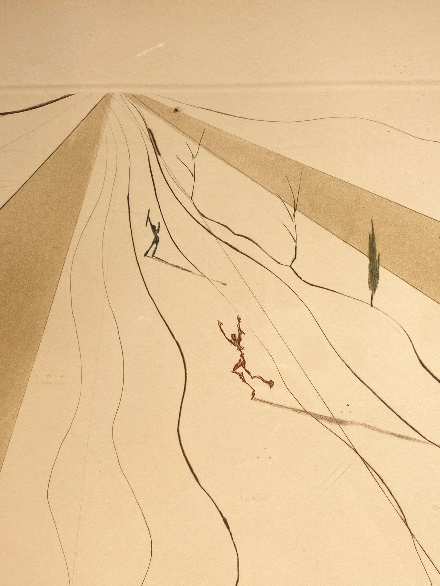 Salvador Dali Etching "Transfiguration" 33/150 1973