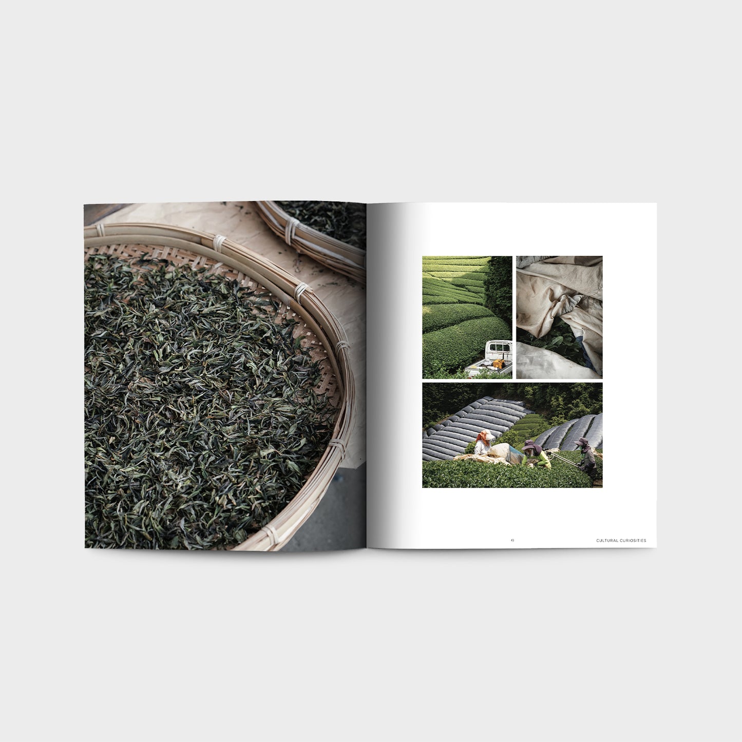 English quarterly magazine "STORIED Vol.1" THE KYOTO ISSUE