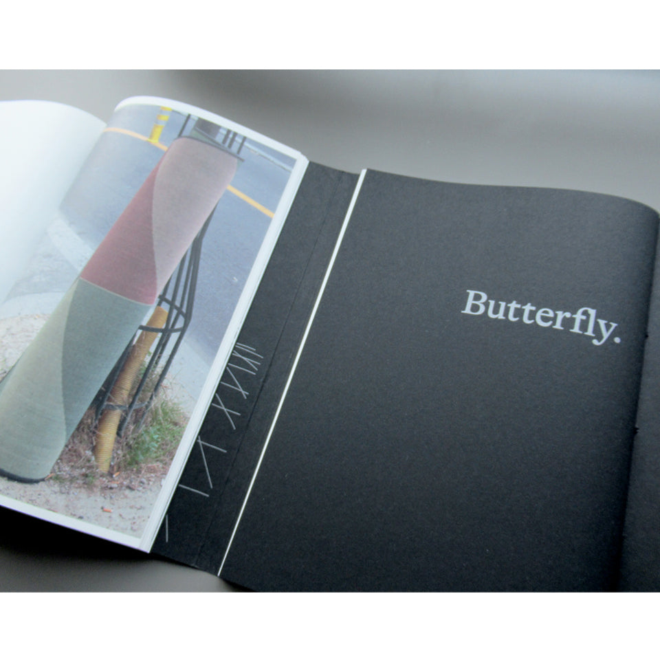 《Bird, Plane, Butterfly.》Antoinette Nausikaä