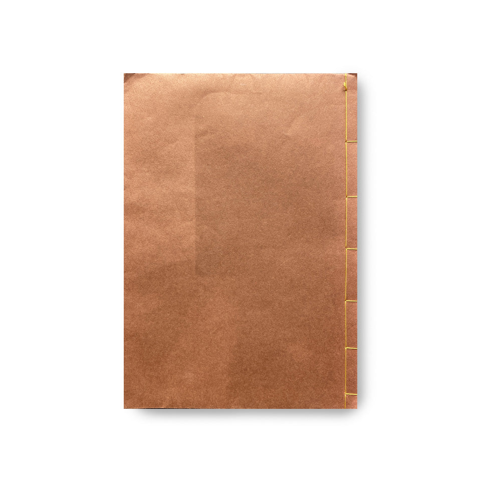 《詩集 蝕まれた季節》  1974年 斉藤雅晴