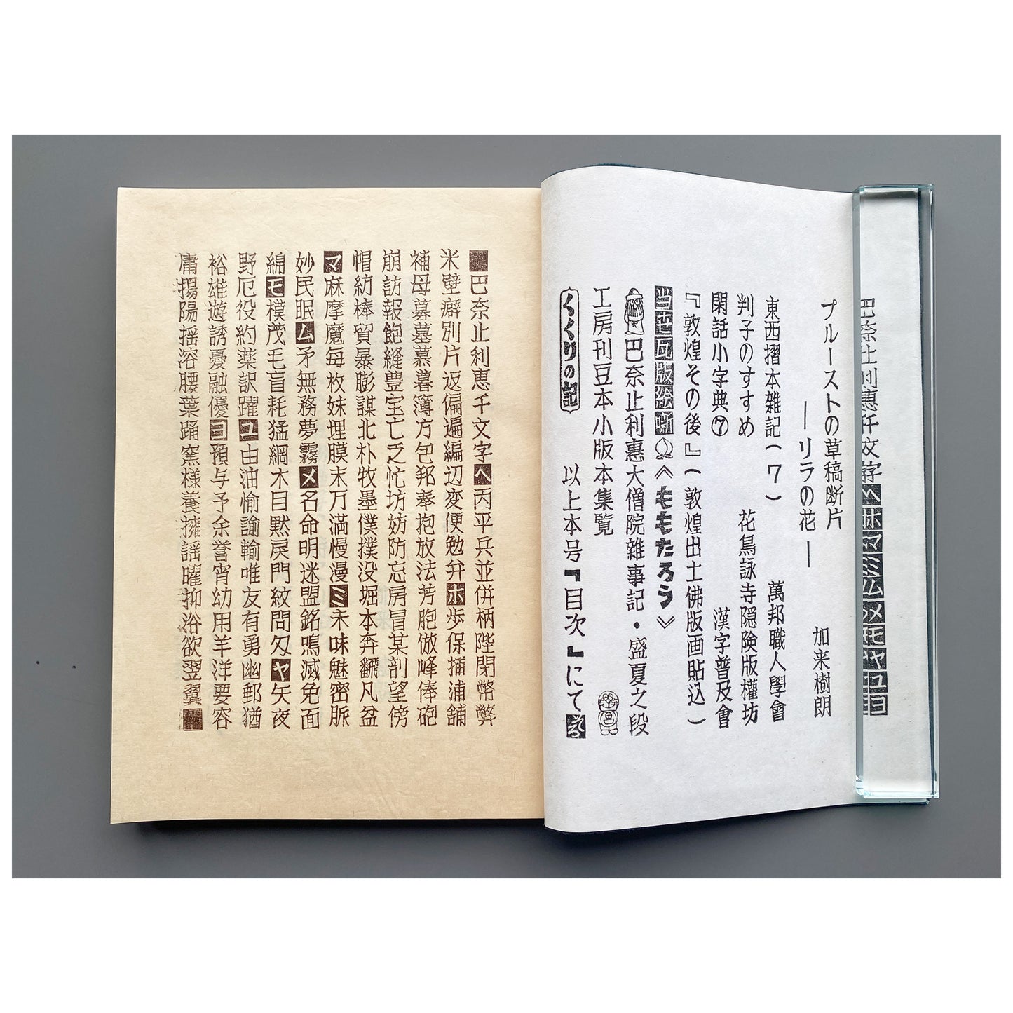 《ぱなとりゑ》  1981年夏 第9号 - 山口汎一