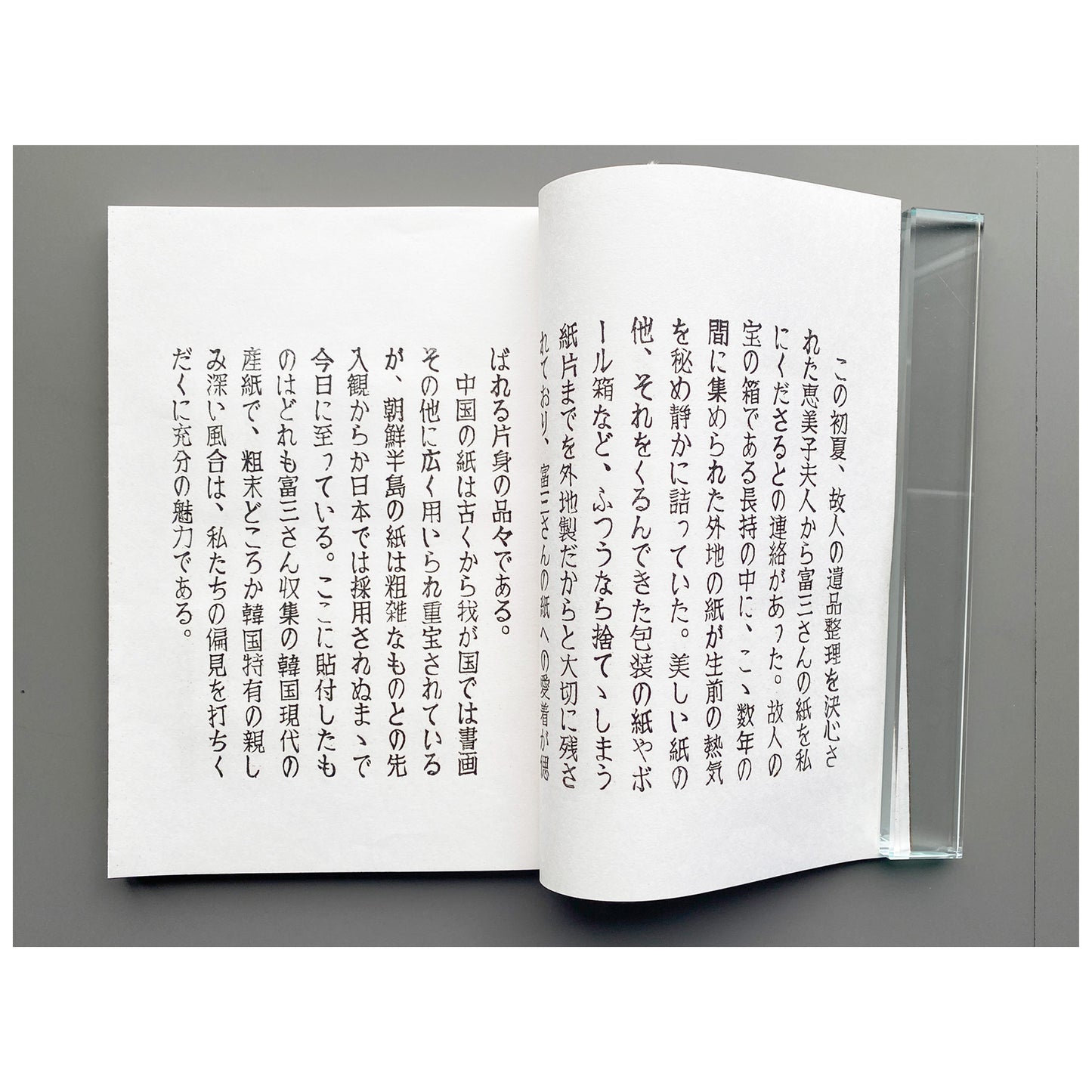 《ぱなとりゑ》  第11号 - 山口汎一