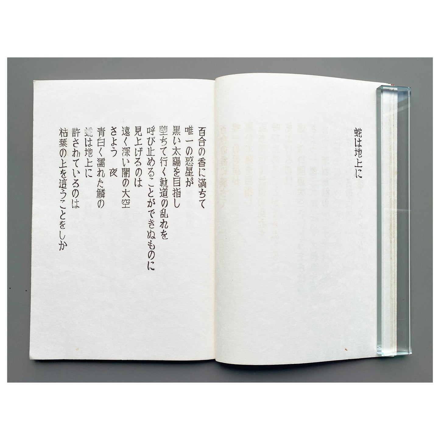 《詩集 蝕まれた季節》  1974年 斉藤雅晴