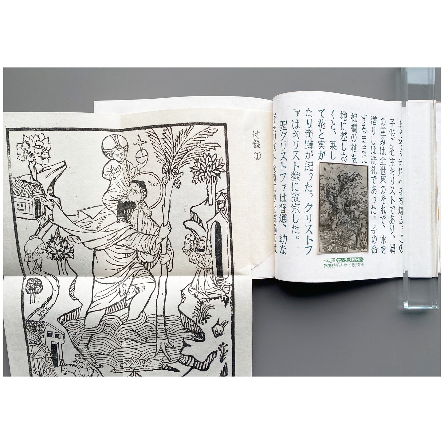 《ぱなとりゑ》 1971年秋 第3号 - 山口汎一