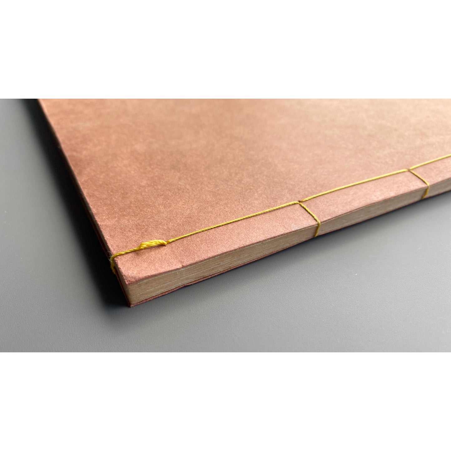 《詩集 蝕まれた季節》  1974年 斉藤雅晴