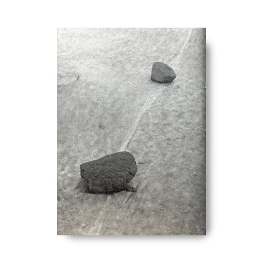 《Bird, Plane, Butterfly.》Antoinette Nausikaä