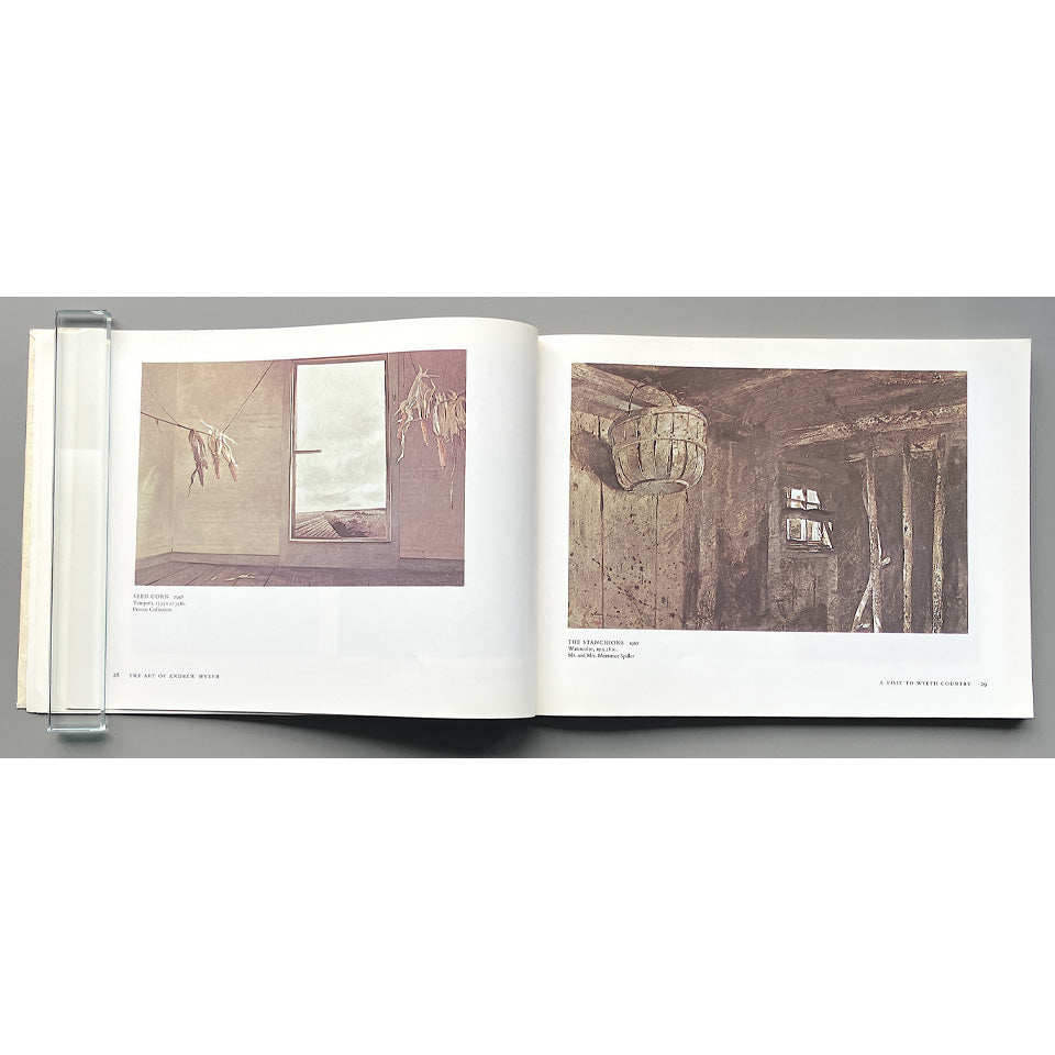 The Art of Andrew Wyeth