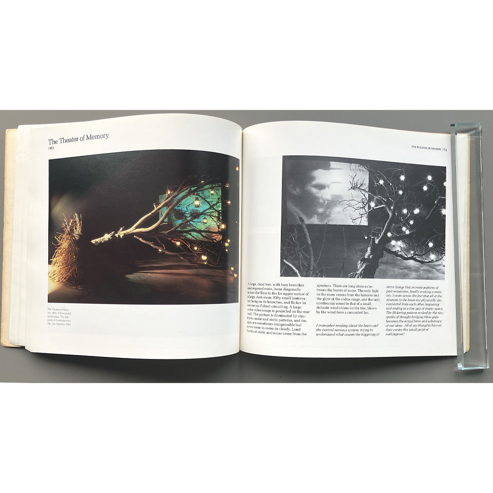 Bill Viola Installations and Videotapes