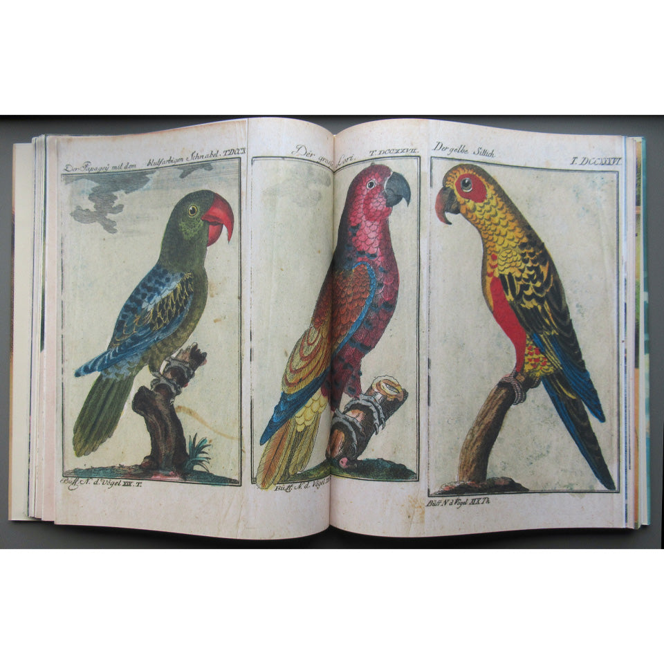 John Derian Picture Book