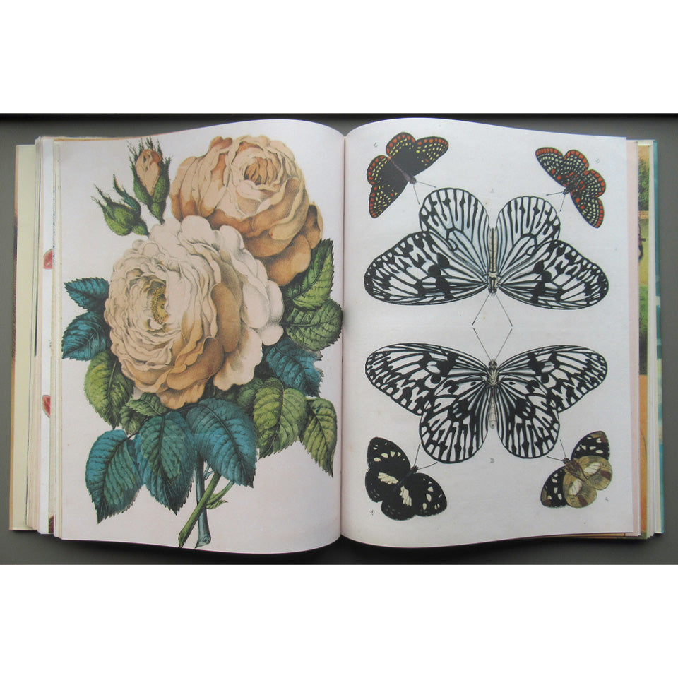 John Derian Picture Book