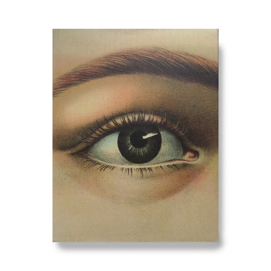 John Derian Picture Book