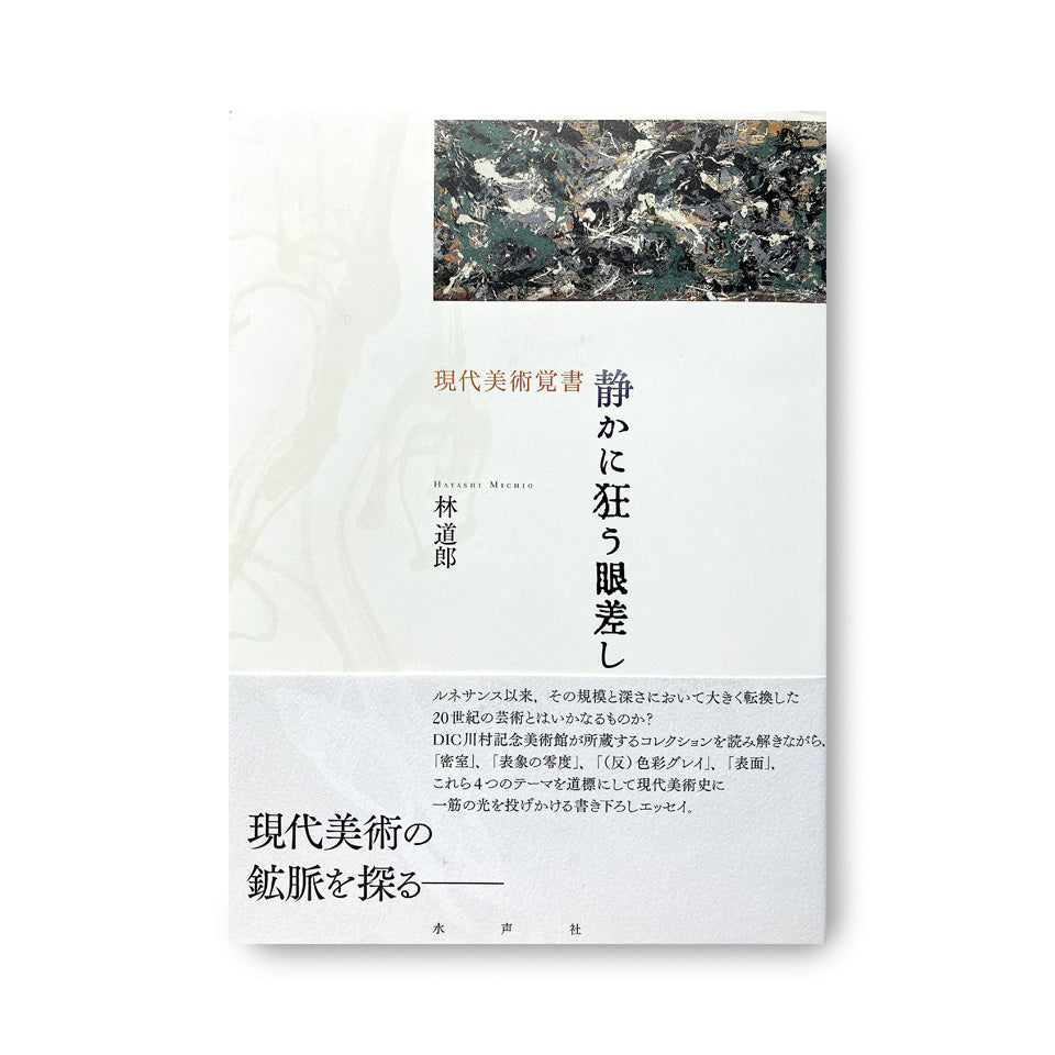 静かに狂う眼差し: 現代美術覚書