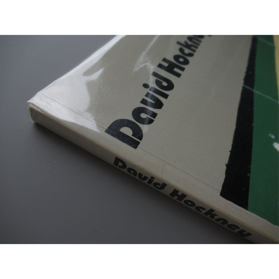 David Hockey: Paper Pools