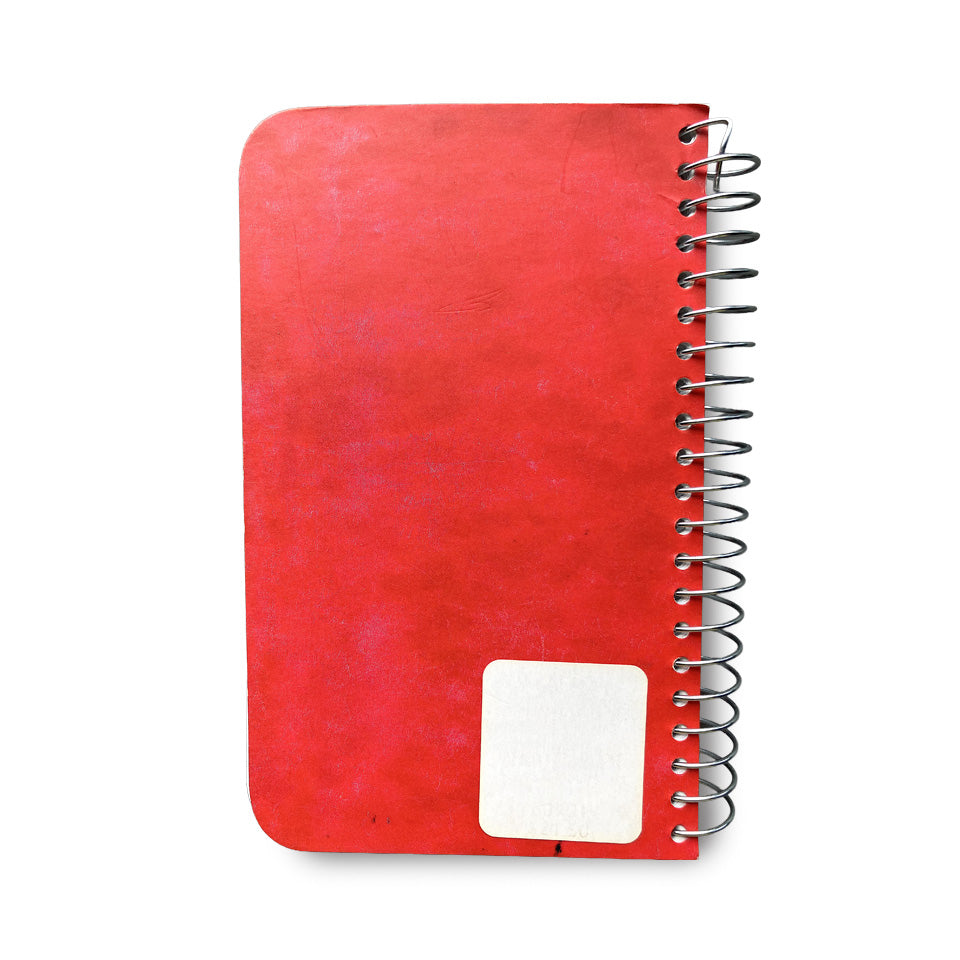 Lee Lozano: Private Book 1