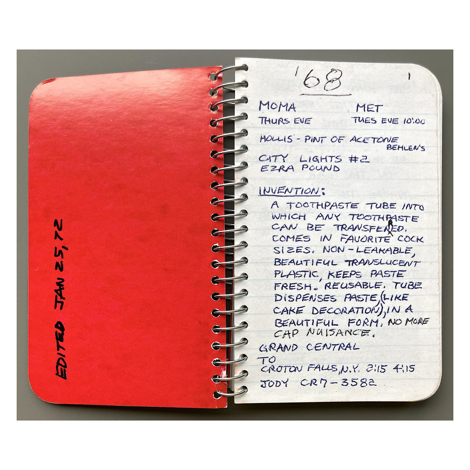 Lee Lozano: Private Book 1