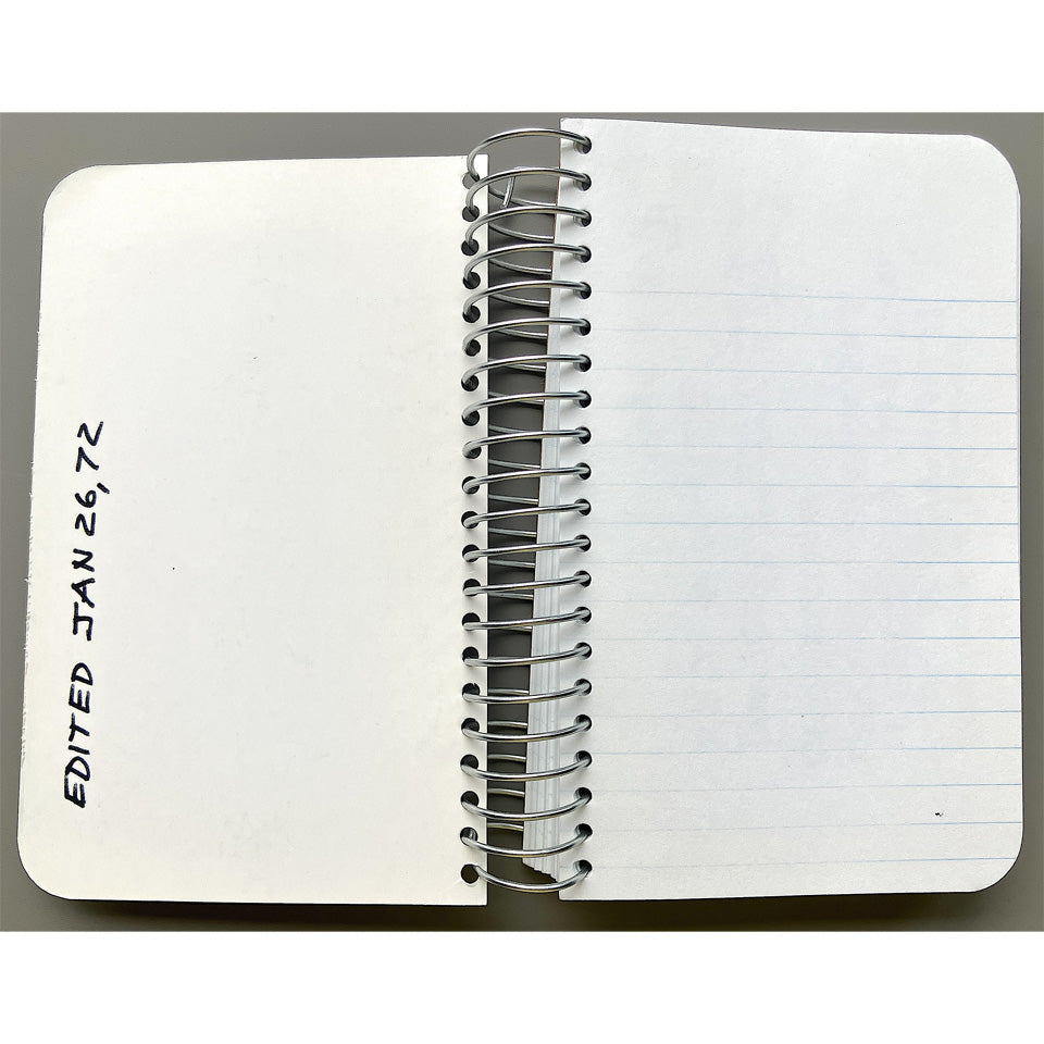 Lee Lozano: Private Book 2