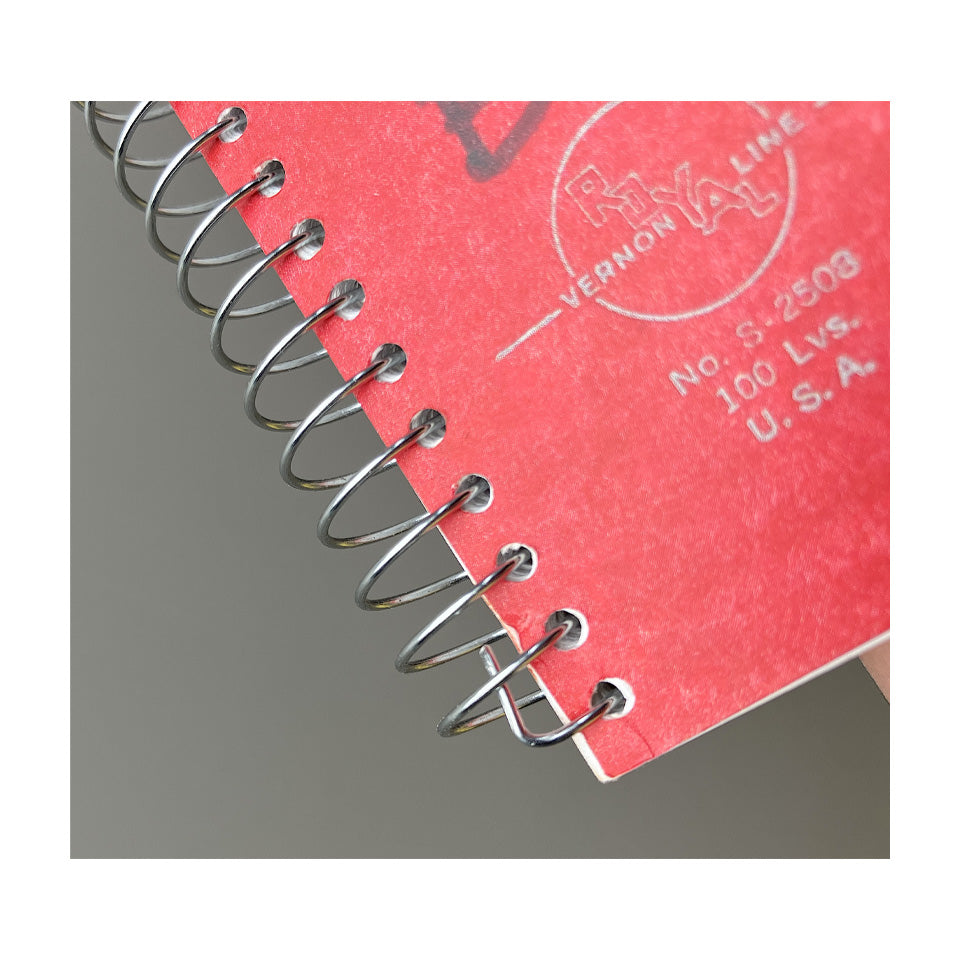 Lee Lozano: Private Book 1