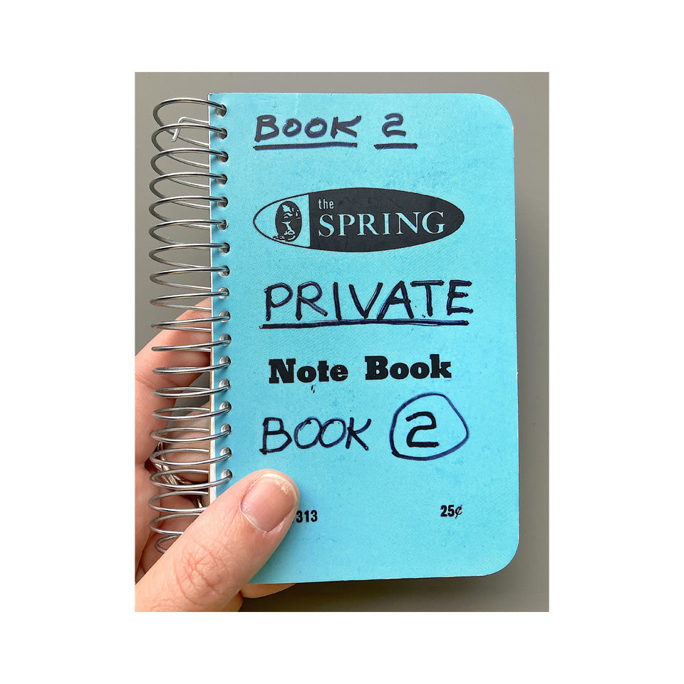 Lee Lozano: Private Book 2