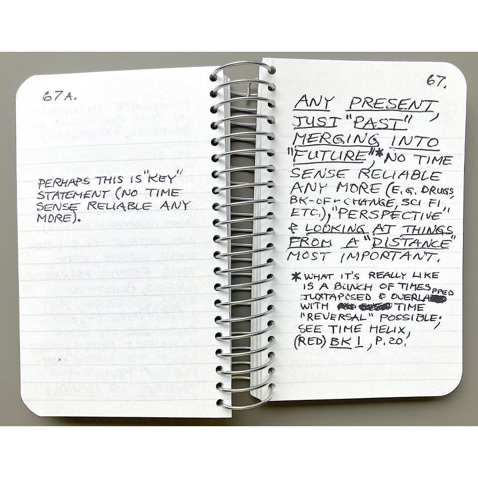 Lee Lozano: Private Book 2