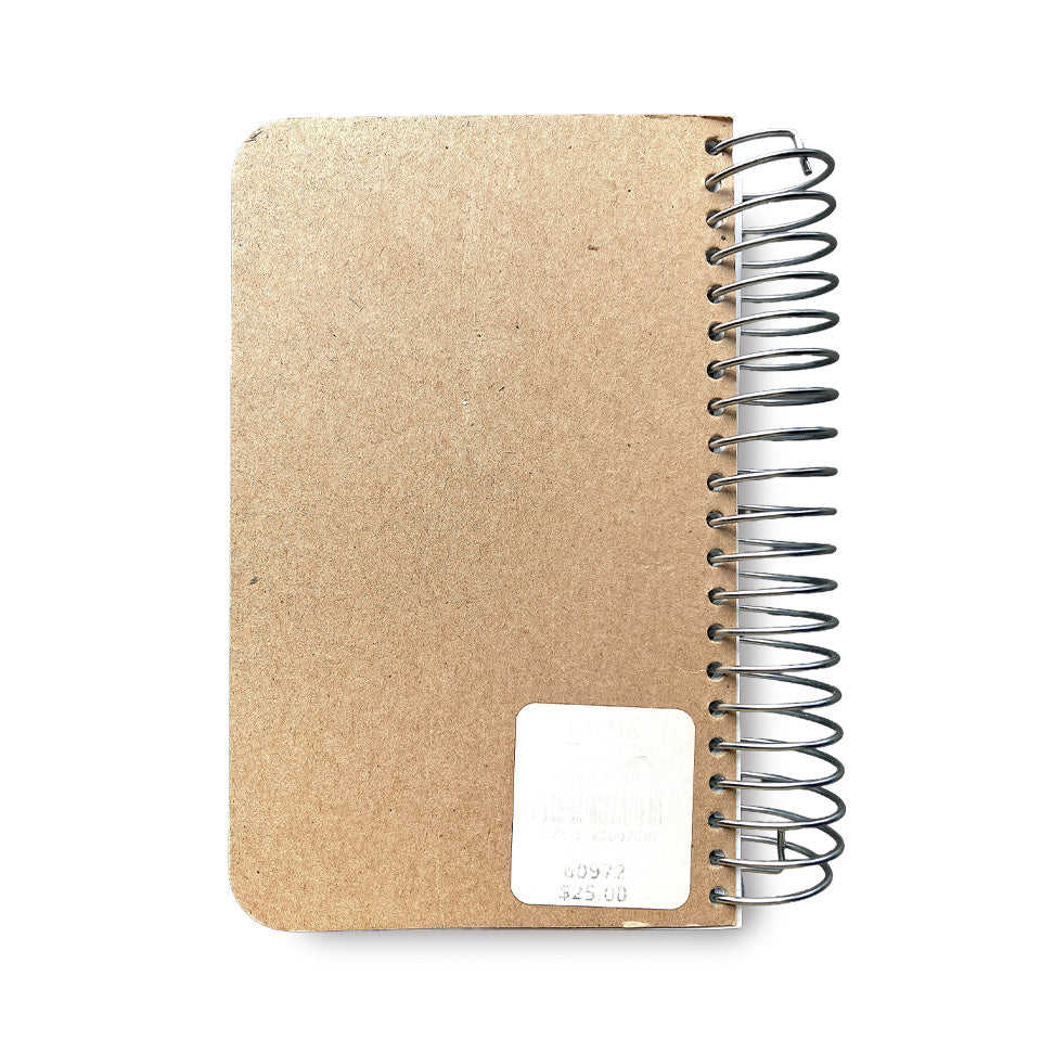 Lee Lozano: Private Book 2