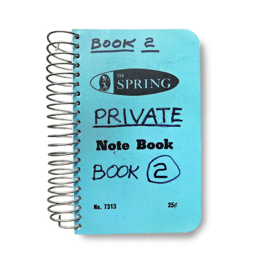 Lee Lozano: Private Book 2