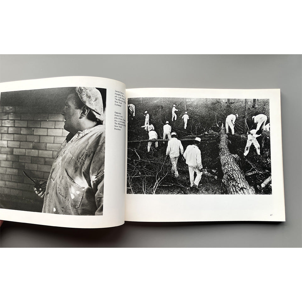 Mirrors and Windows: American Photography since 1960