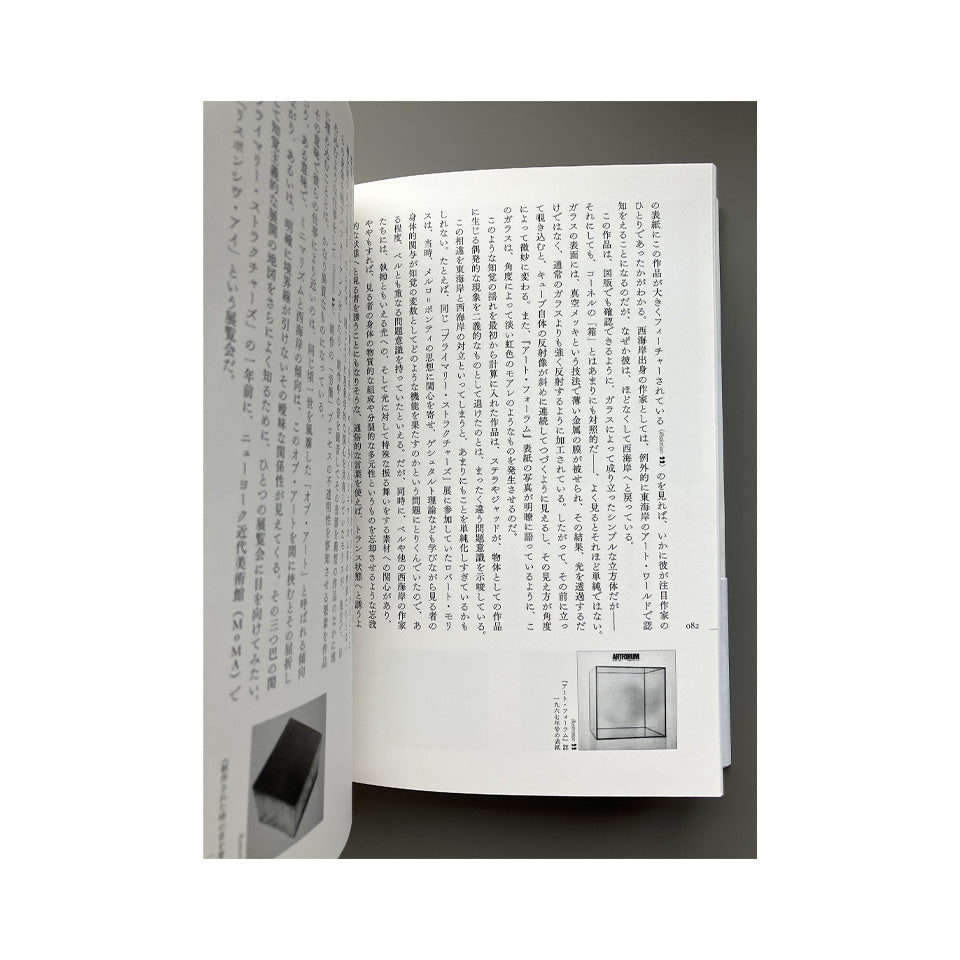 静かに狂う眼差し: 現代美術覚書