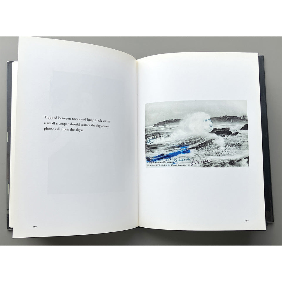 Rebecca Horn: all these black days - between