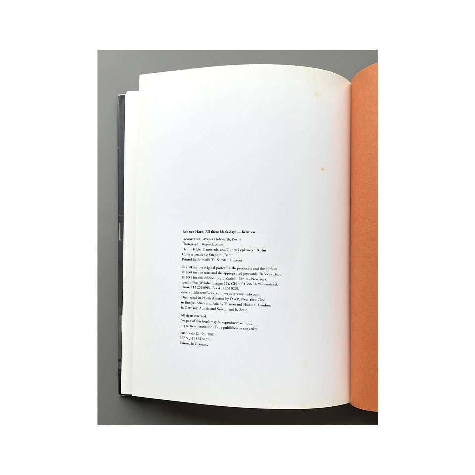 Rebecca Horn: all these black days - between